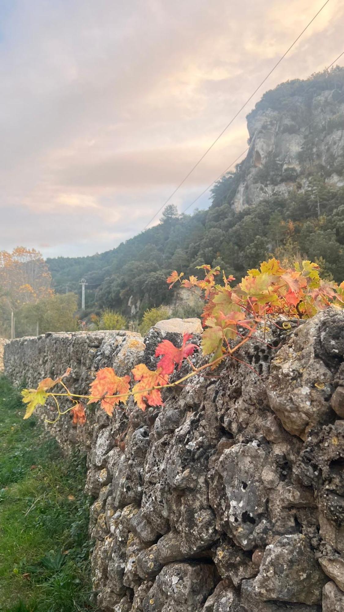 La Fonda De Xiva Daire Chiva de Morella Dış mekan fotoğraf